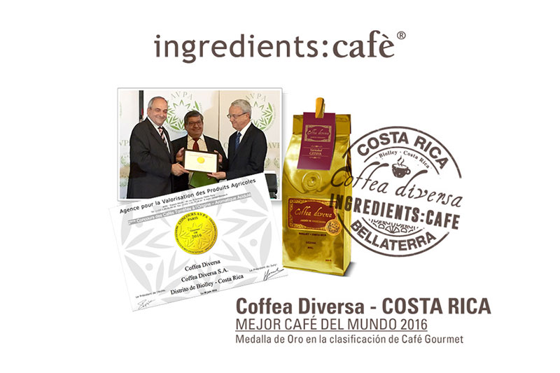 Coffea Diversa the best coffee in the world